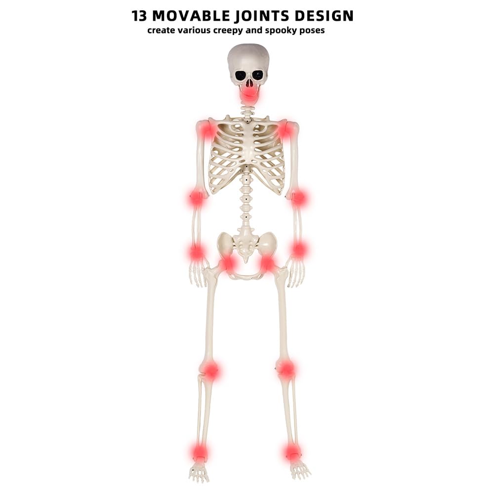 5.4 ft Life Size Posable Plastic Skeleton D320016