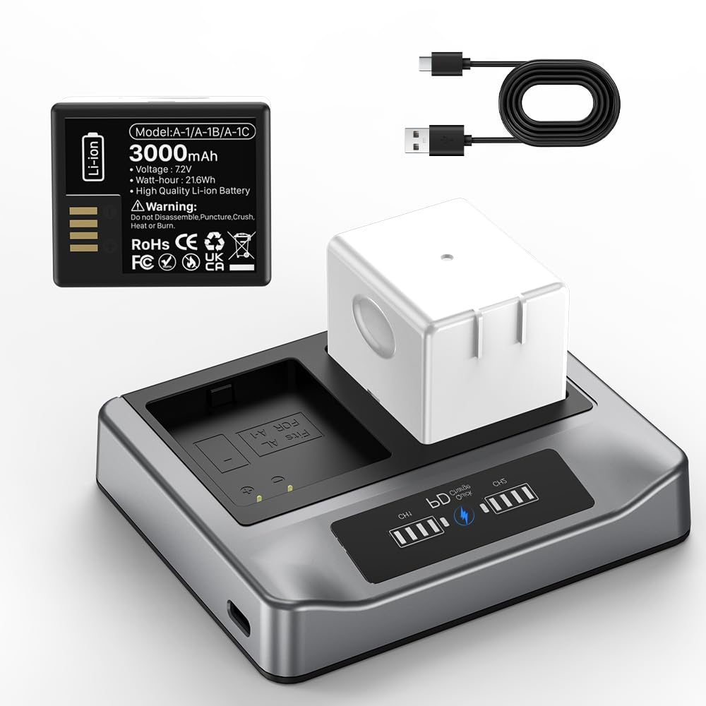2-Pack Rechargeable Batteries with Charging Station O391