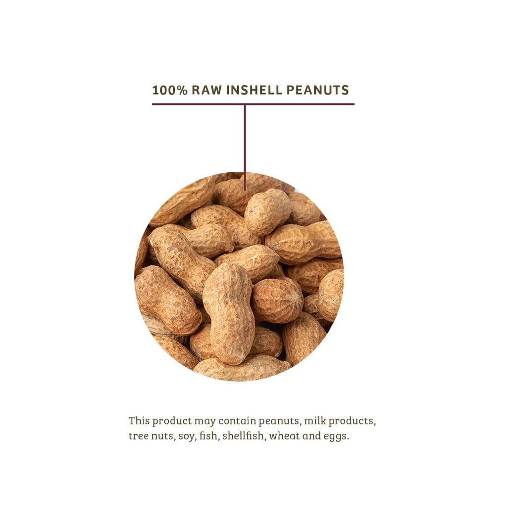 In-Shell Peanuts Wild Bird Food 10lb X97681