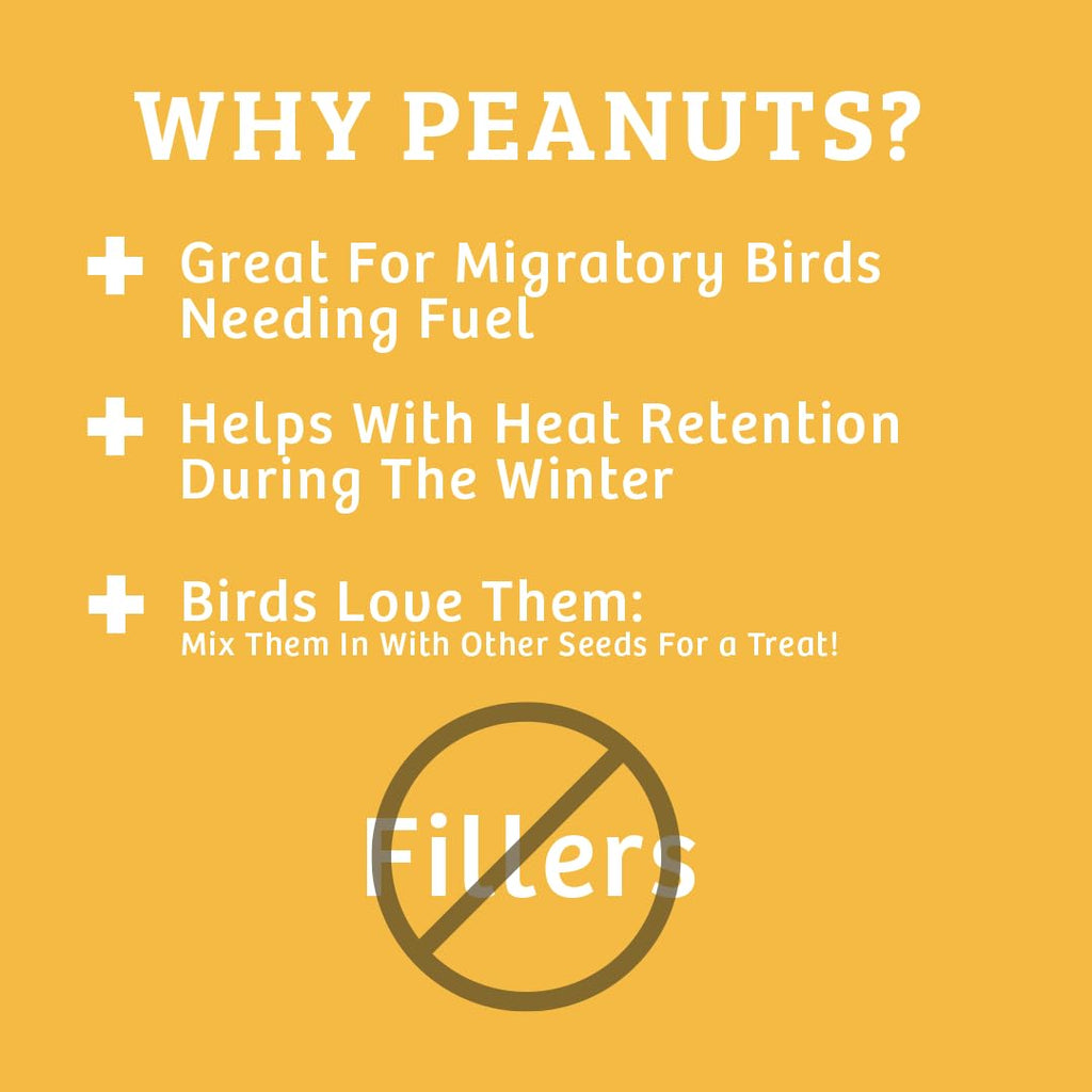 In-Shell Peanuts Wild Bird Food 10lb X97681
