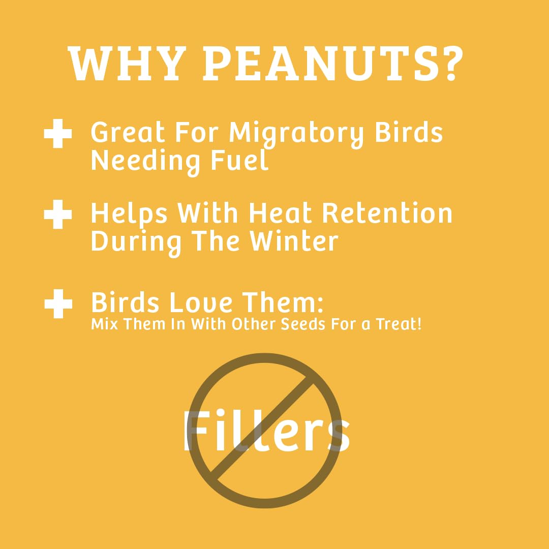 In-Shell Peanuts Wild Bird Food 10lb X97681