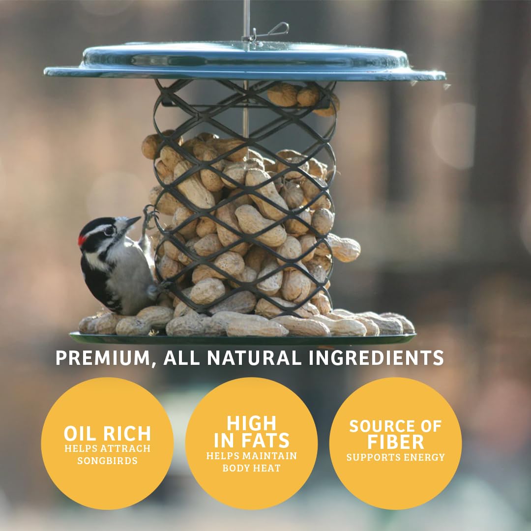 In-Shell Peanuts Wild Bird Food 10lb X97681