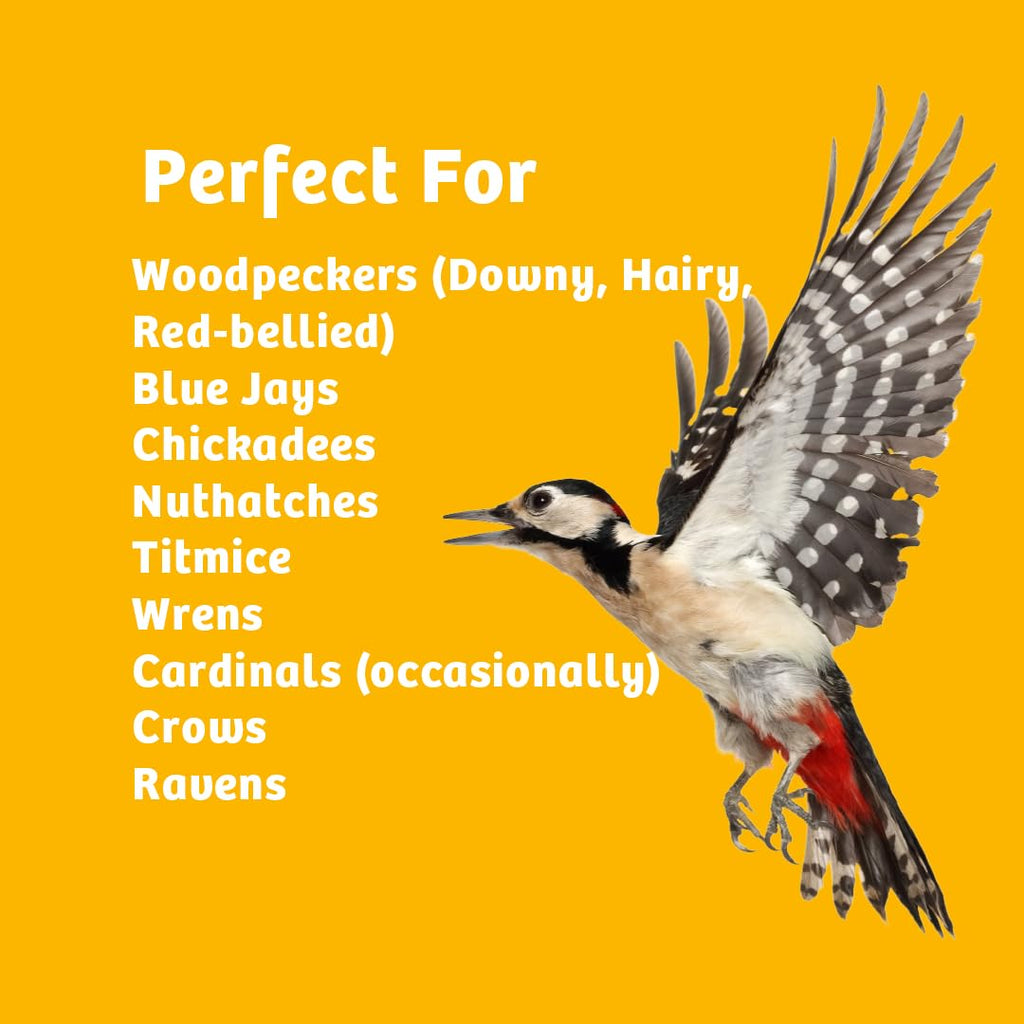 In-Shell Peanuts Wild Bird Food 10lb X97681