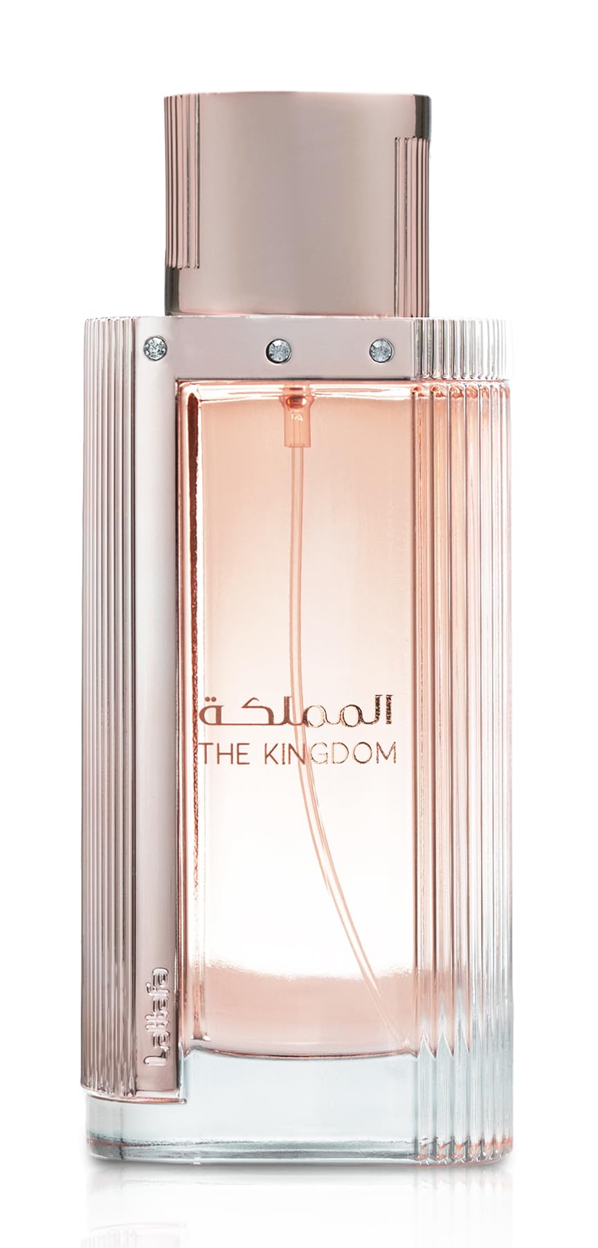 Eau De Parfum Spray for Women 3.4 Ounce R773