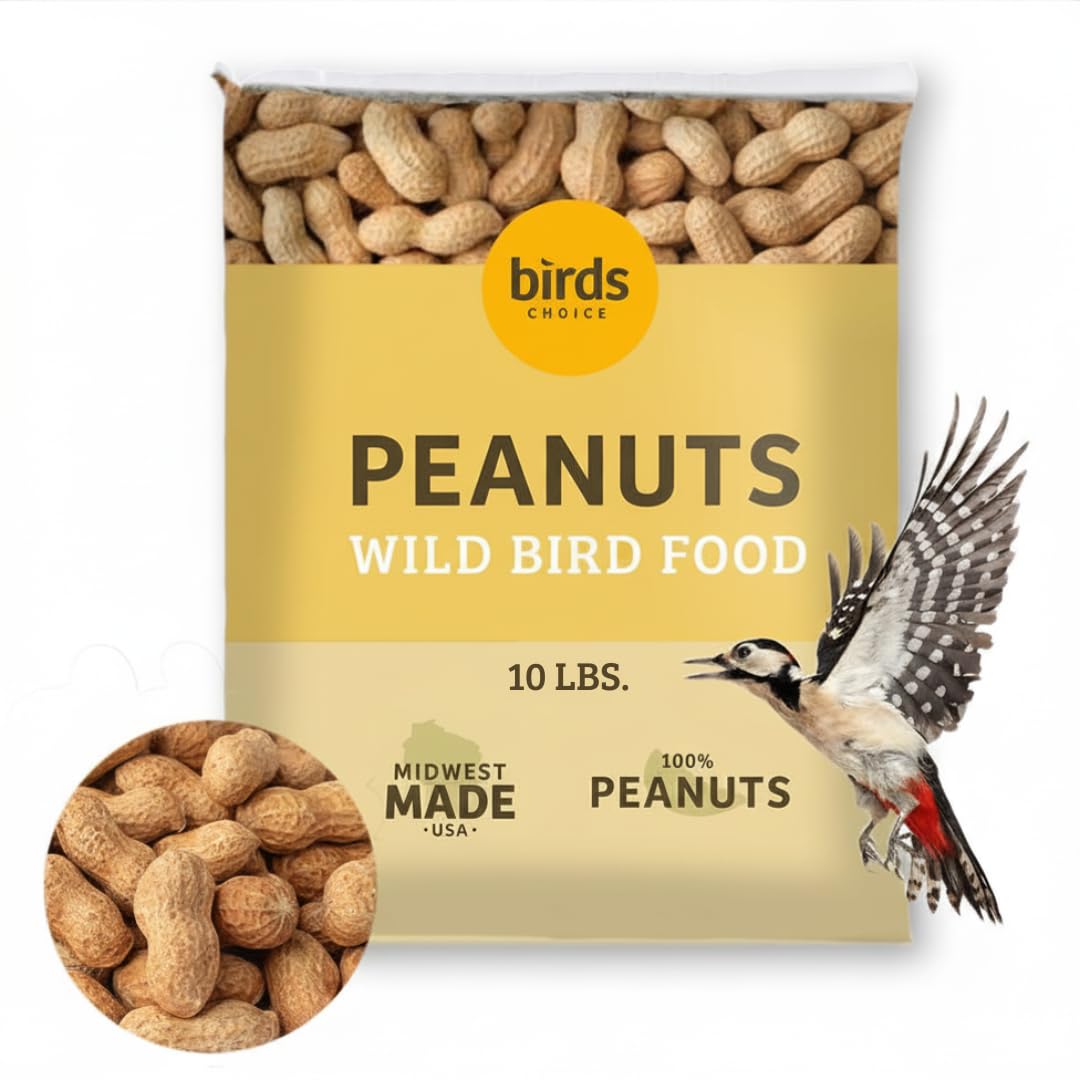 In-Shell Peanuts Wild Bird Food 10lb X97681