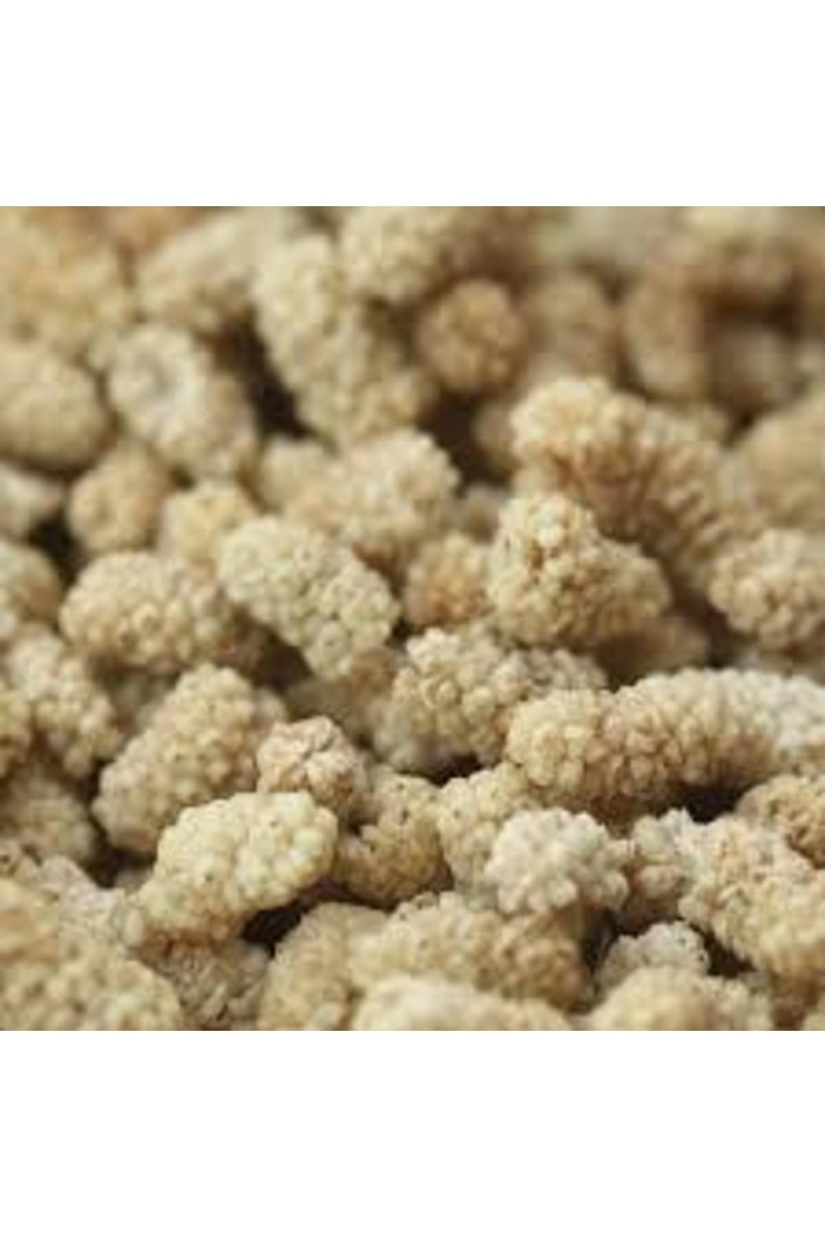 Dried White Mulberries 35.3 oz E83106