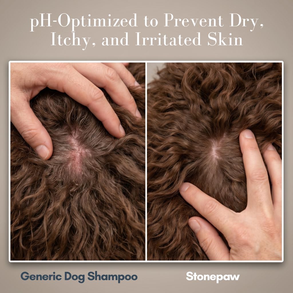 Lavender Dog Shampoo and Conditioner 16oz U179230