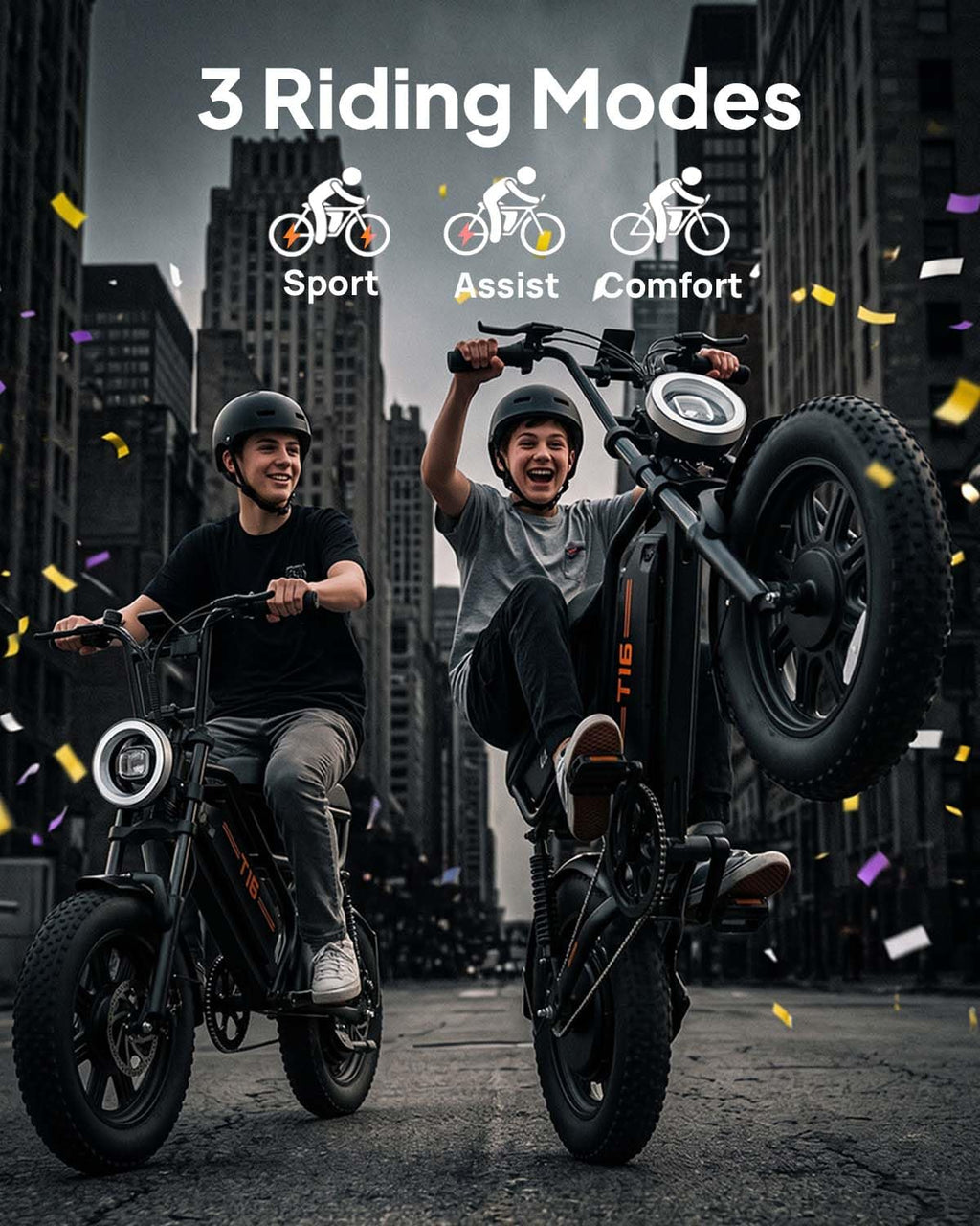 Fat Tire All Terrain Electric Bike P3905