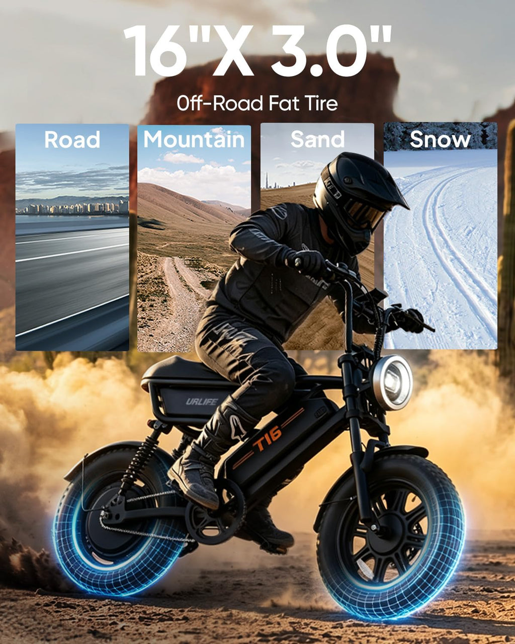 Fat Tire All Terrain Electric Bike P3905
