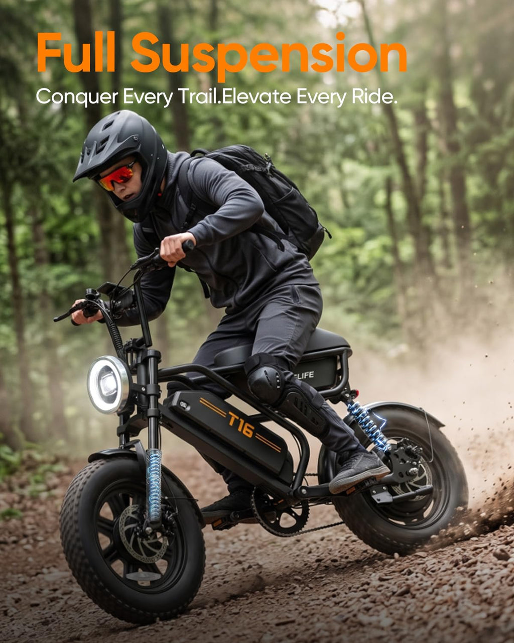 Fat Tire All Terrain Electric Bike P3905
