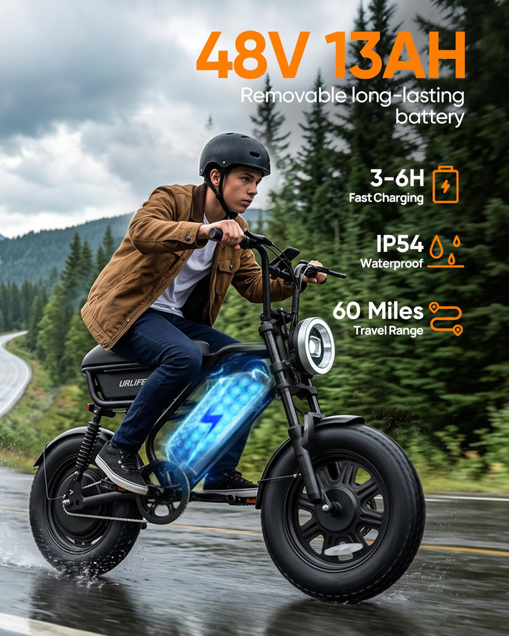 Fat Tire All Terrain Electric Bike P3905