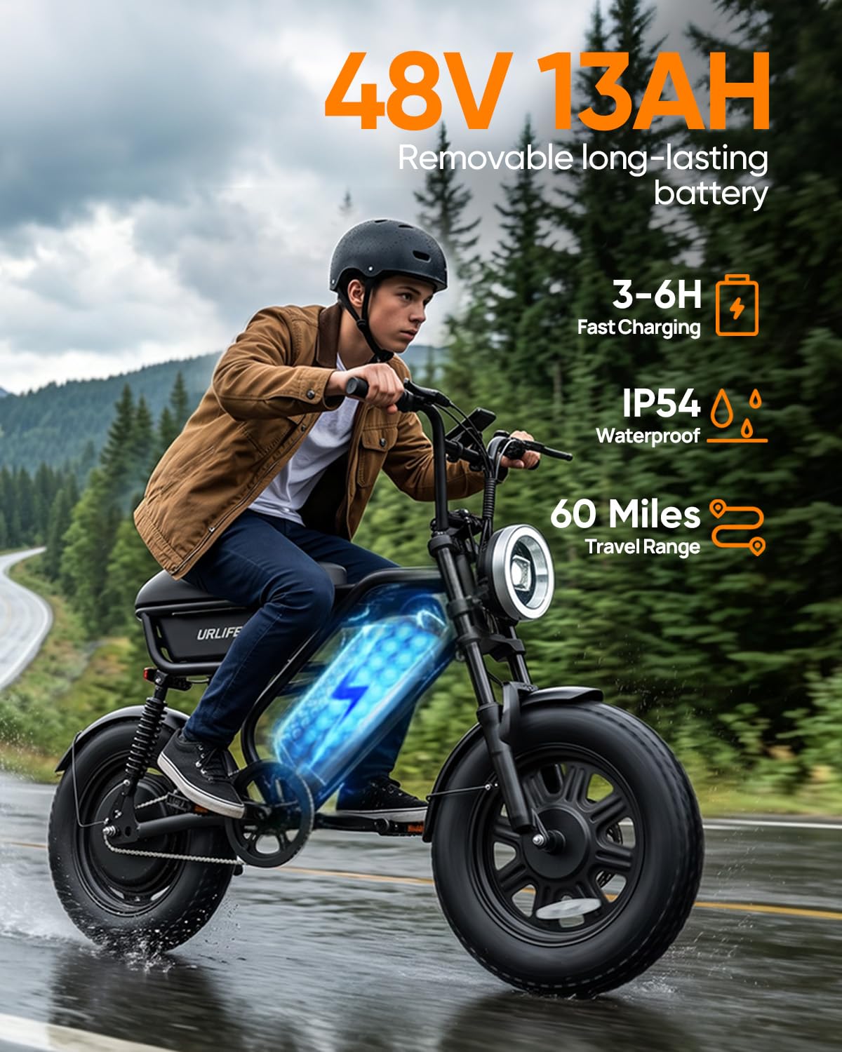 Fat Tire All Terrain Electric Bike P3905