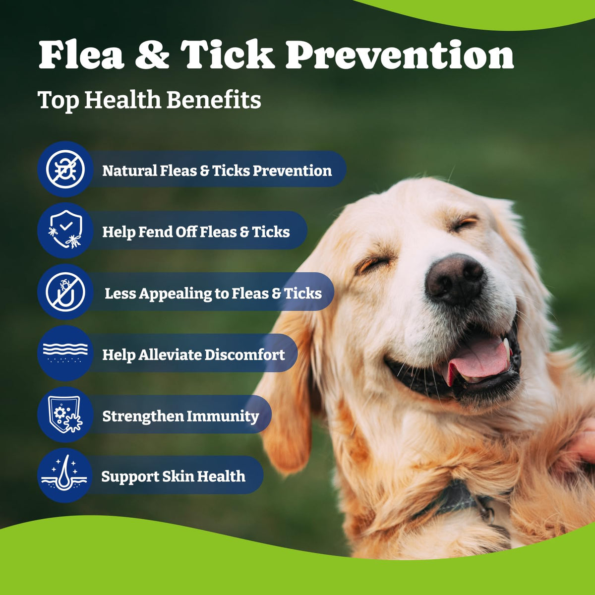 Flea & Tick Prevention for Dogs Chewables V4755