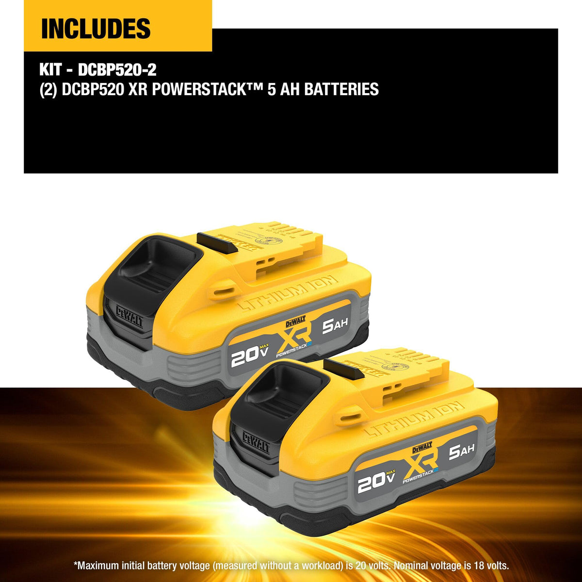 20V MAX 5Ah Lithium Ion Battery 2-Pack Z24660