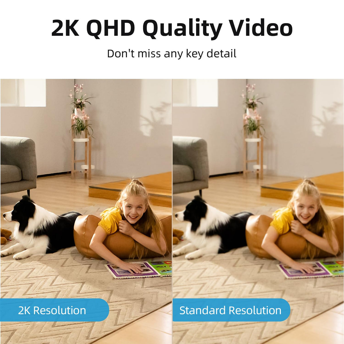 2K Indoor Camera N43774