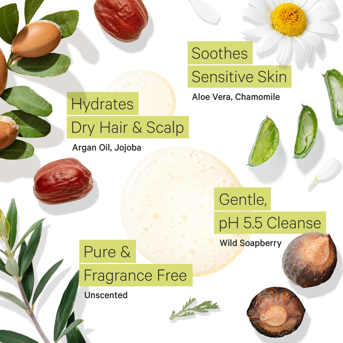 Fragrance Free Shampoo and Argan Oil Conditioner Z920