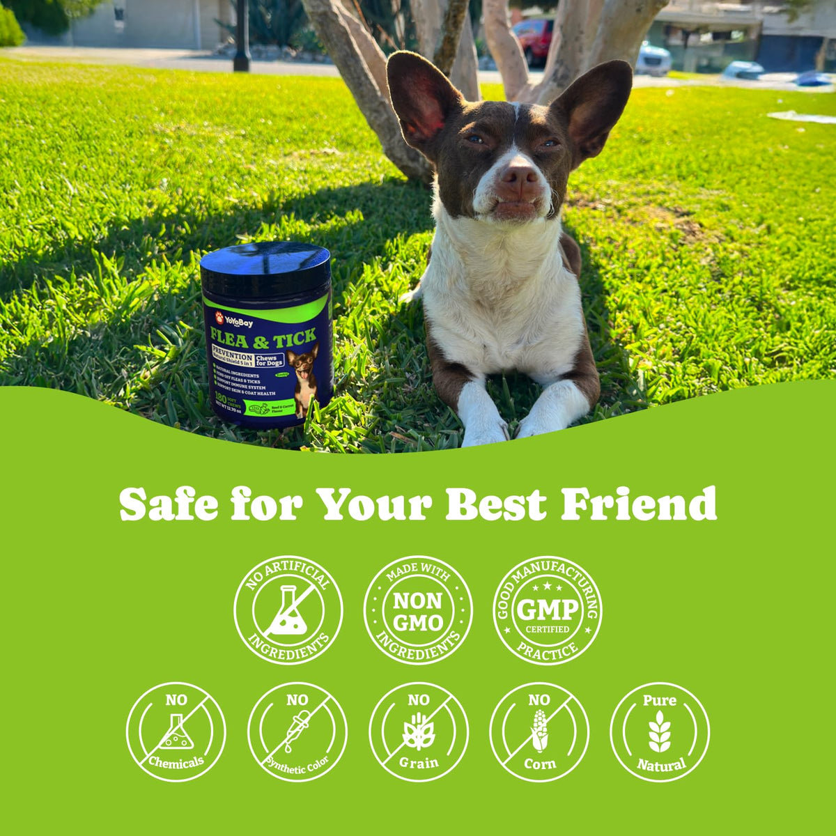 Flea & Tick Prevention for Dogs Chewables V4755