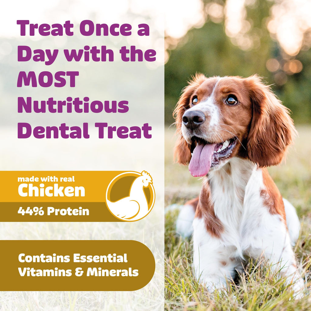 Chicken Dog Dental Treats Large 24oz & Medium 36 oz F806398
