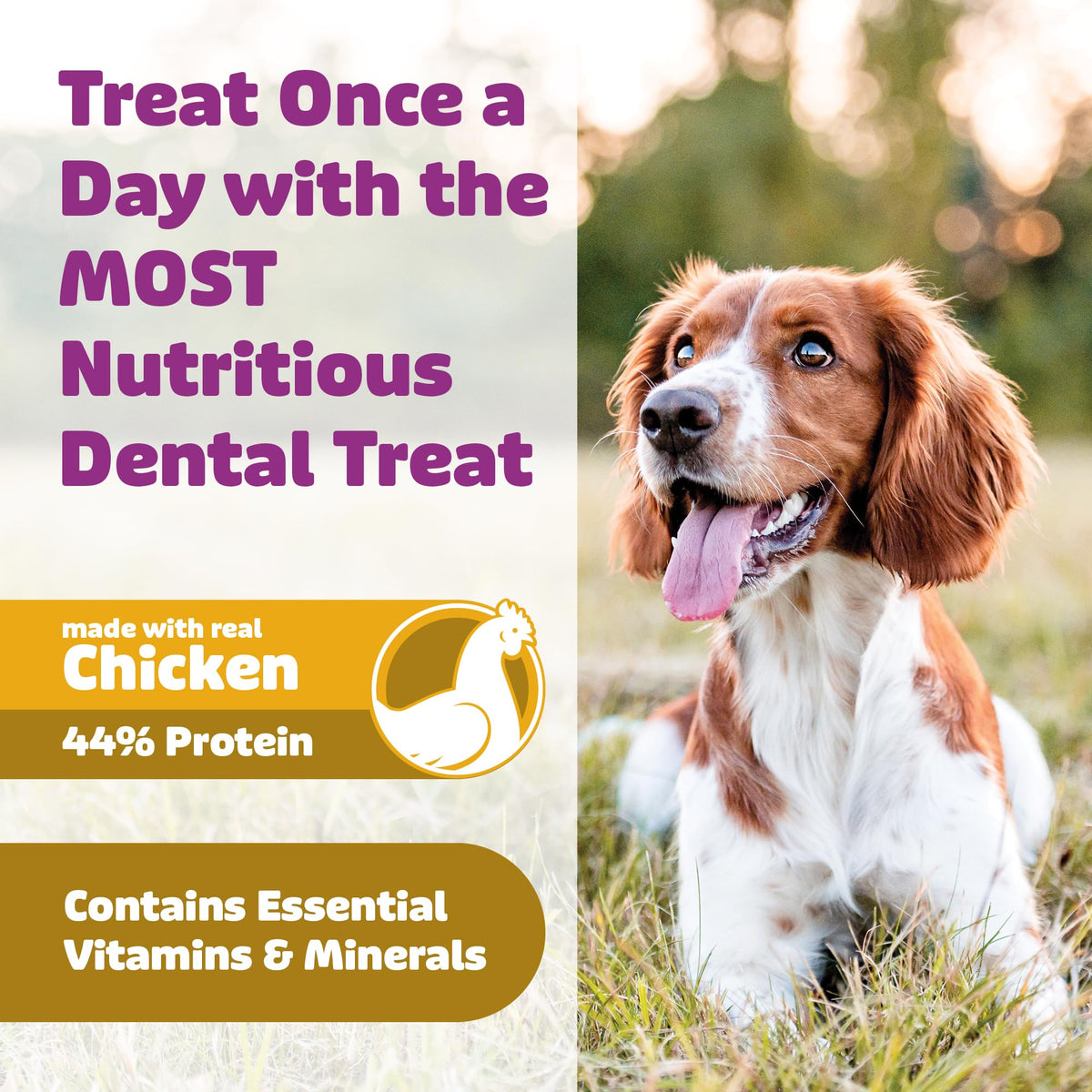 Chicken Dog Dental Treats Large 24oz & Medium 36 oz F806398