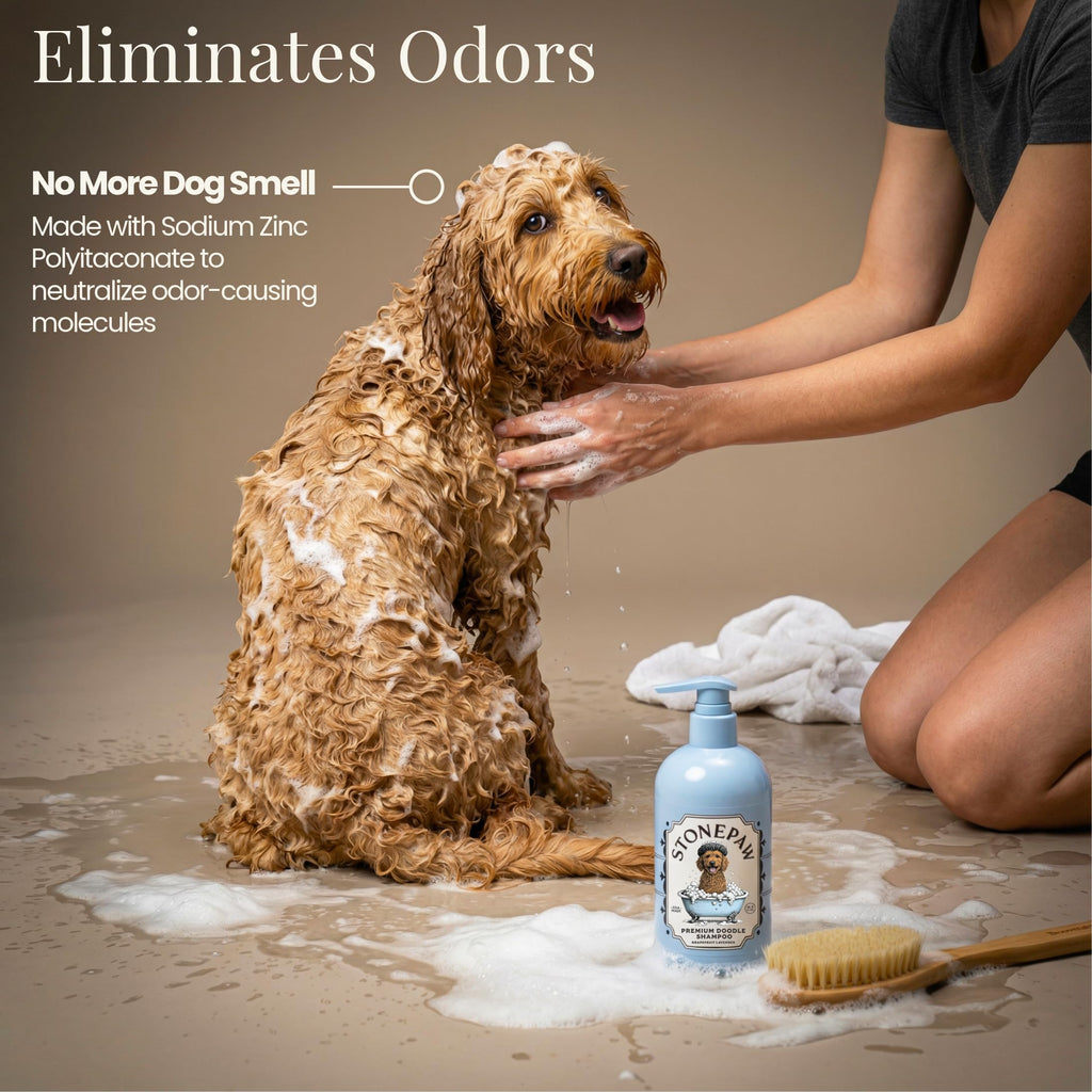 Lavender Dog Shampoo and Conditioner 16oz U179230