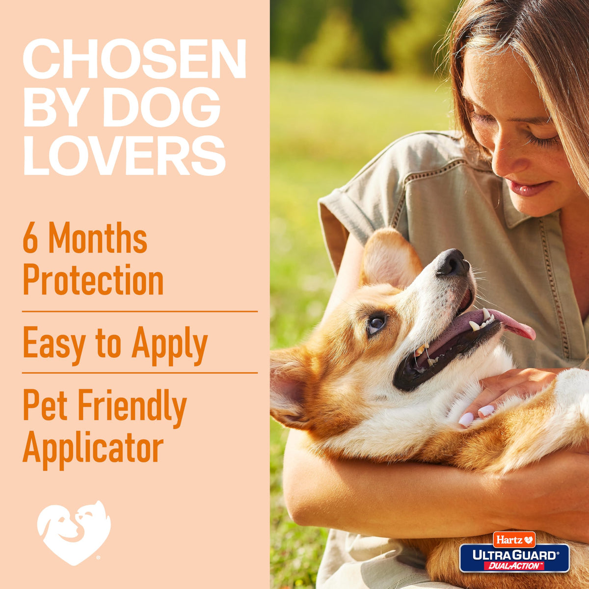 Flea & Tick Topical Dog Treatment 6 Months 5-14 Pound Dogs 6-count O181