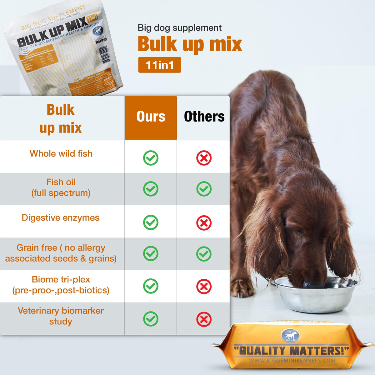 Big Dog Supplement N758850