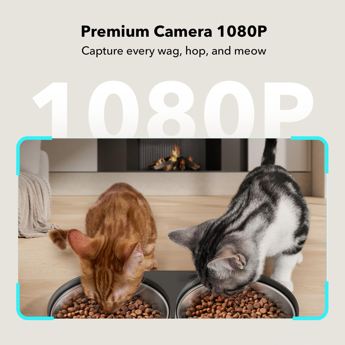 Automatic Cat Feeder with Camera, 1080P HD Video, 5G WiFi, 2-Way Audio, Dual Tray, Black 5L R991