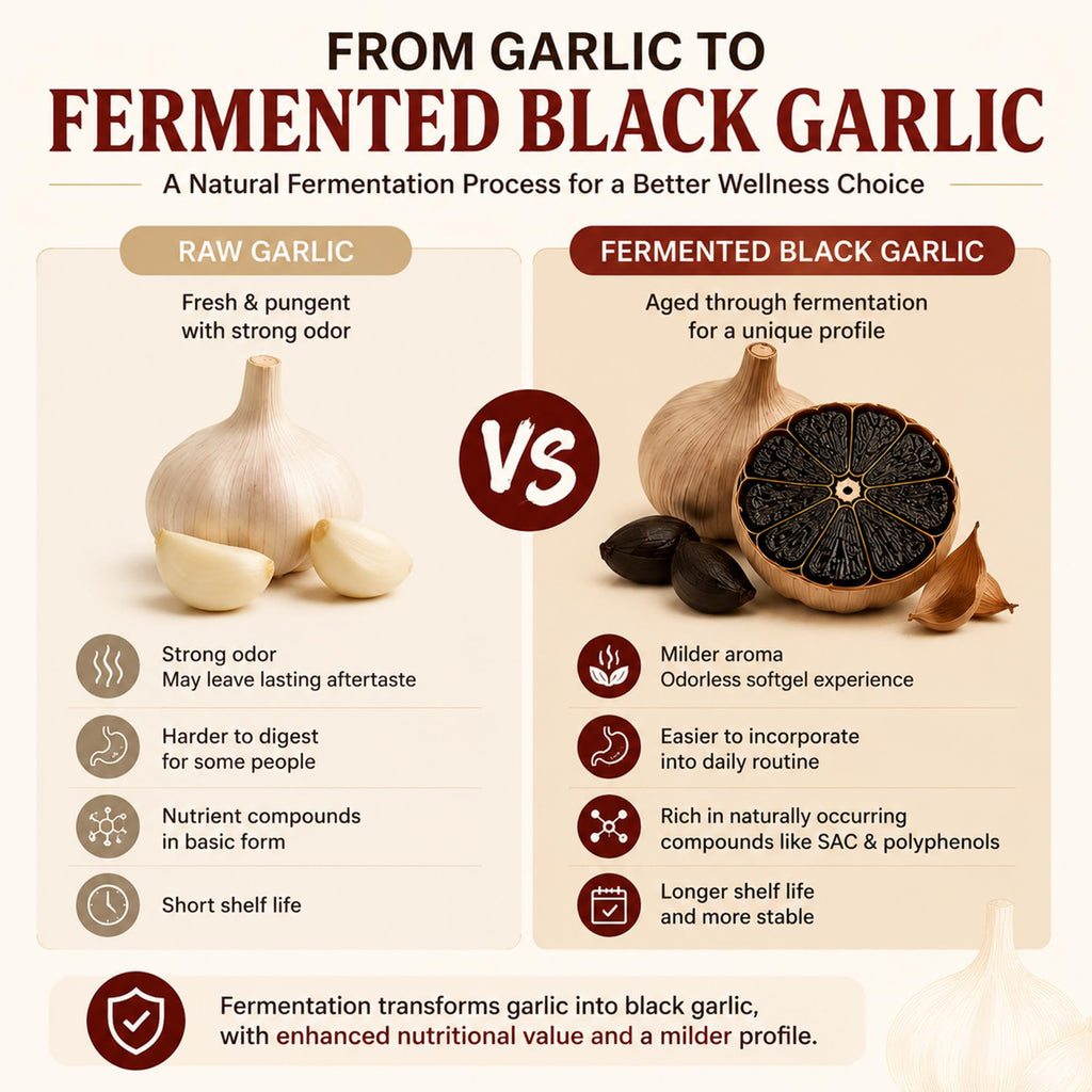 Black Garlic CoQ10 Capsules 300 Count Z210217