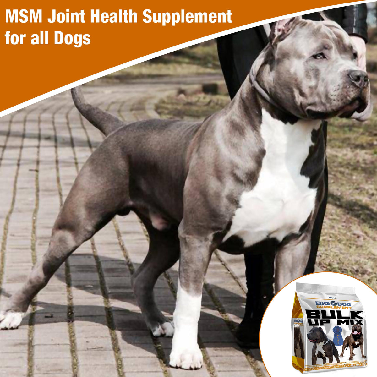 Big Dog Supplement N758850