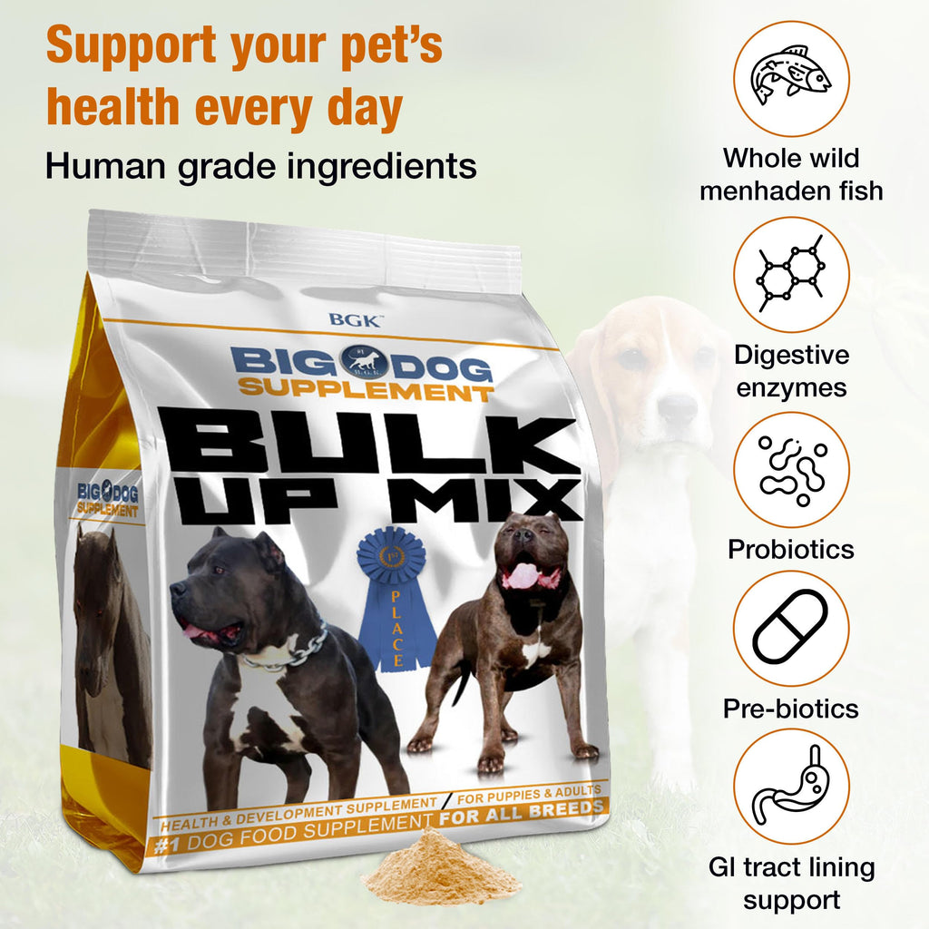 Big Dog Supplement N758850