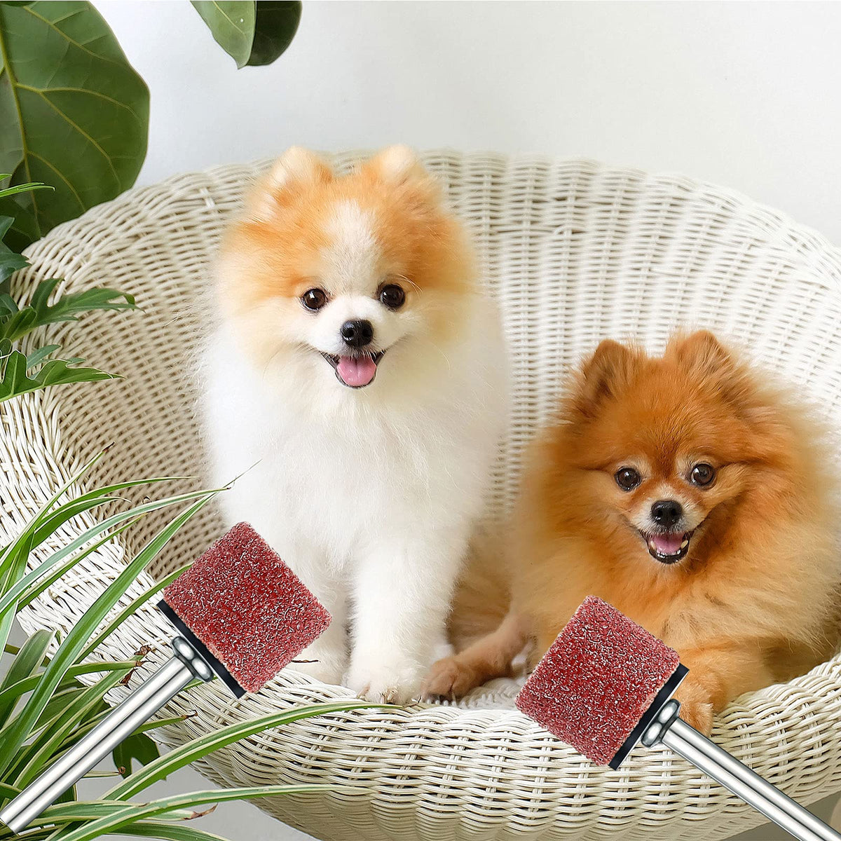 22 Pcs Dog Nail Grinder Bands 60 and 100 Grit C680