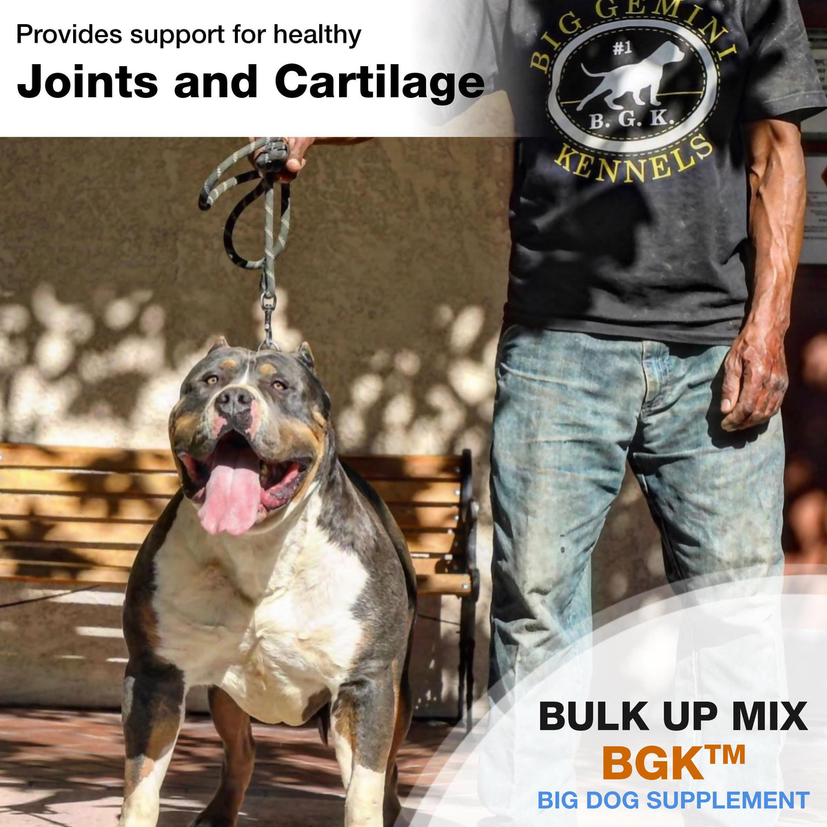Big Dog Supplement N758850