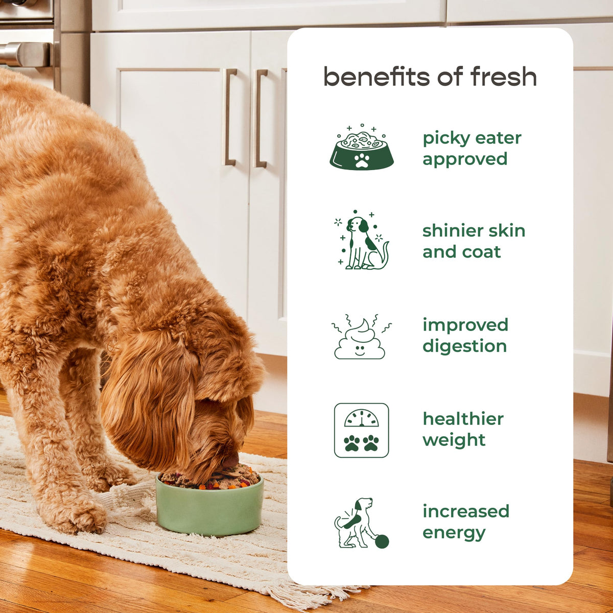Dog Food Roll 16 Oz Q9868