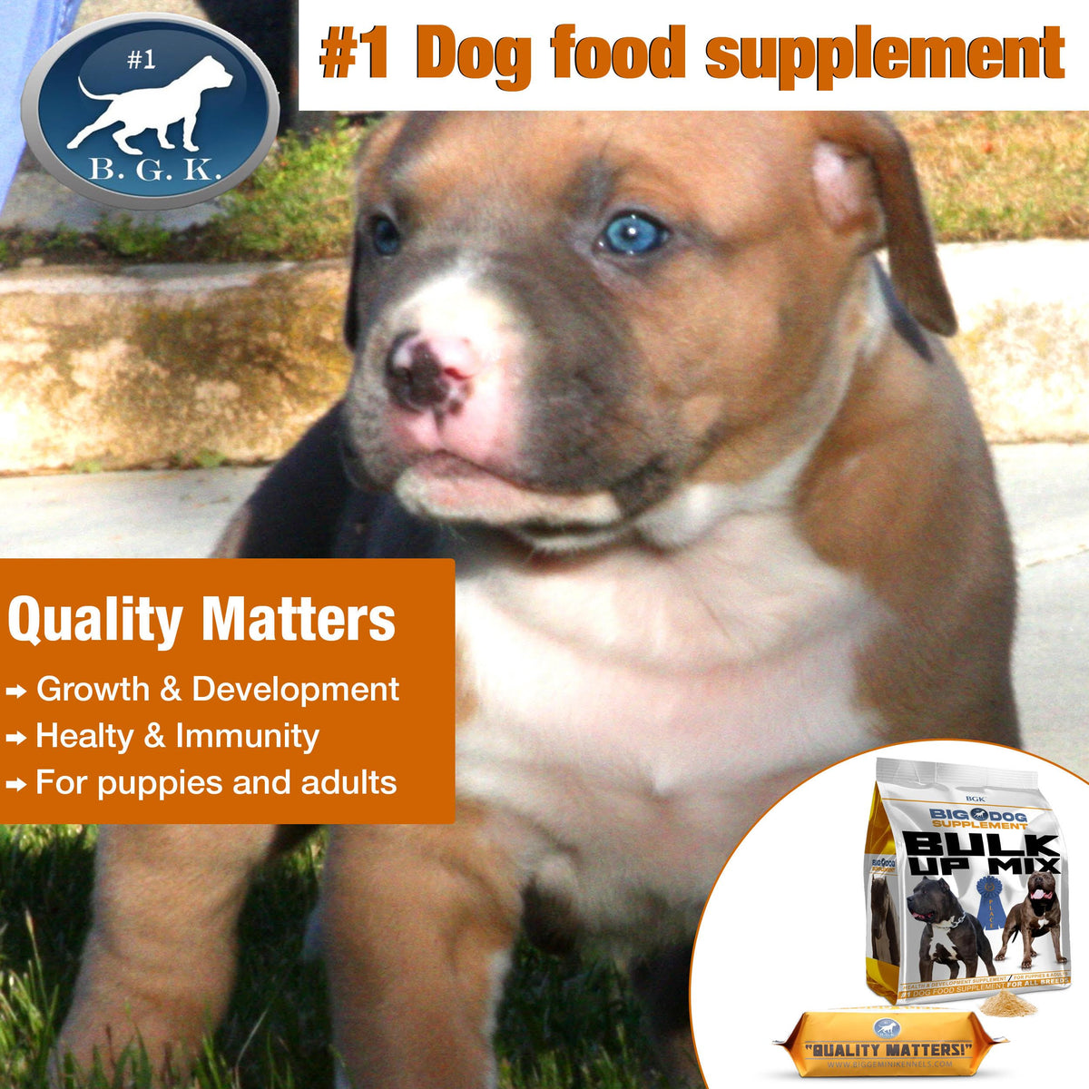Big Dog Supplement N758850