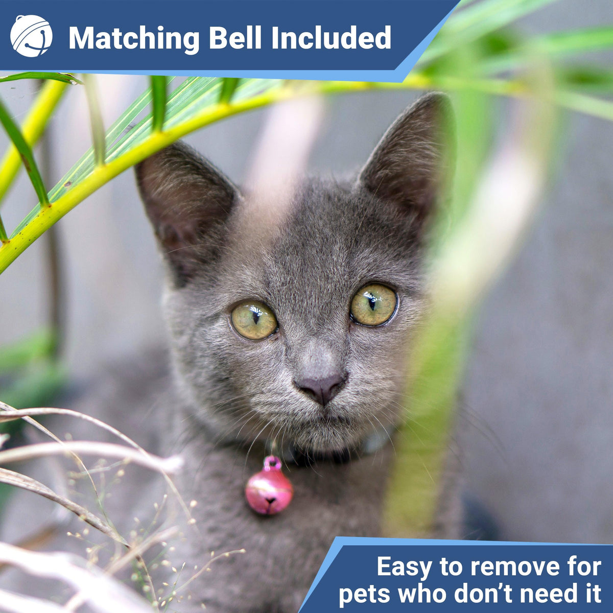 Reflective Breakaway Cat Collar O8565